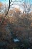 DSC_0101.jpg