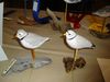 P1010042~1.jpg