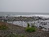 P9230083.jpg